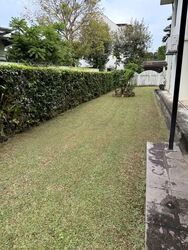 Clementi Park (D21), Detached #581261811